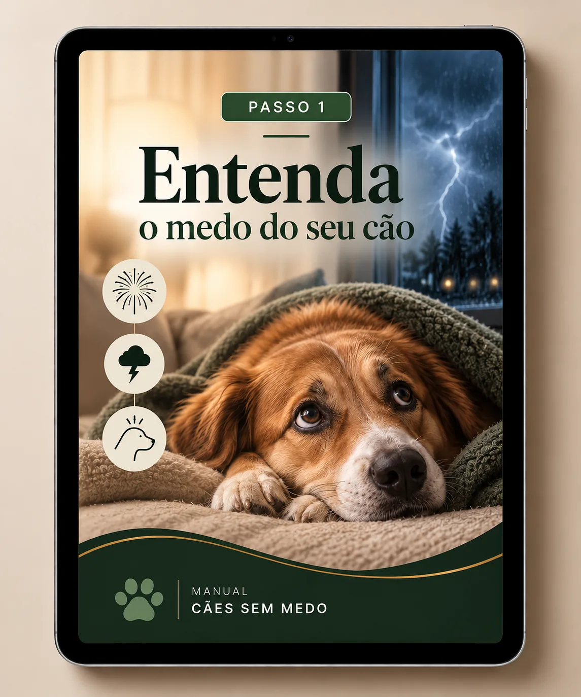 Passo-1-Caes-Sem-Medo-otimizado.webp